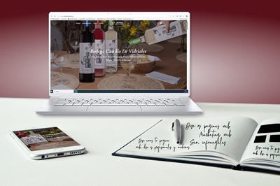 web castillodevidriales